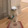 deenoverdunya_210