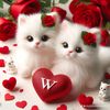 wishaaiqbal4466