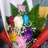 zno_alhasany