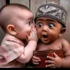 elsayed.moy