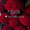 loomea25