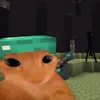 rafaanaughter