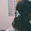 chaosdaaninha