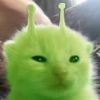 maxwell_papu