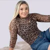 cinelandia.dantas