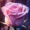 fareedh87