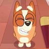 its.rexxxx