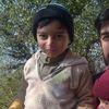 shoukat.khokher