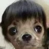 munanrttsr