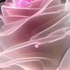 user7181818110