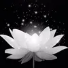 ledinhphuc7