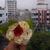 my.ragini.mein