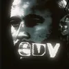 edv_1198