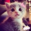 lilyy_srr