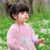 zimal.pari31