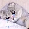 ng.minh.duy.299