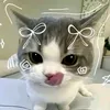 taw_0711