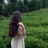 negin.gh22