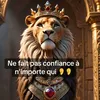 fds.king.sia