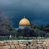 hodamohamed8704