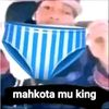 wisnufakhrulanwar2