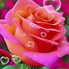 user7699261551976asa