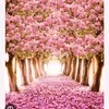 rabia02819