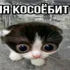 _fastyk._1