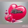 user3153857744568
