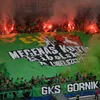 fp.gornika_leczna