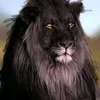 mohammed.abdelkad6