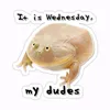 its_wednesday00