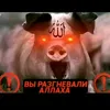 dolboeb_690