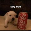 sanspecausa
