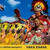 tanaapupasulpice