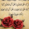 tariqmehood43582