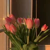 shadya.osman8