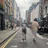 montyc.10