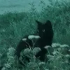 9ji_7