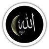 user5422616699401