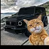 arrw_ak