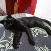 marisol.calisaya0