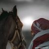 sayed.sayed827