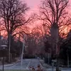 ingermar_turner_2