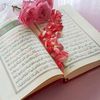 md.bappy.hossein2