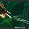 frefiregabriel3