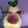 urmatchagurl4