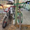 bikelife_cesar