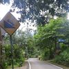 hayangkawin3410