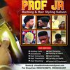 professorjr01